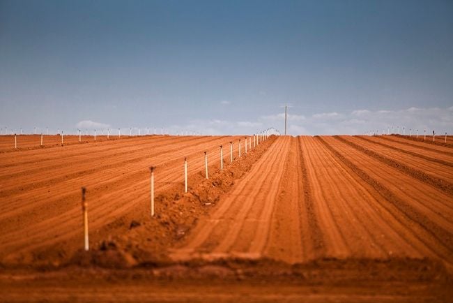 Sunraysia farm sells for $11.5 million Sunraysia farm sells for $11.5 million